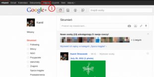 Jak używać licencji CC w serwisie Google+ i Picasa?